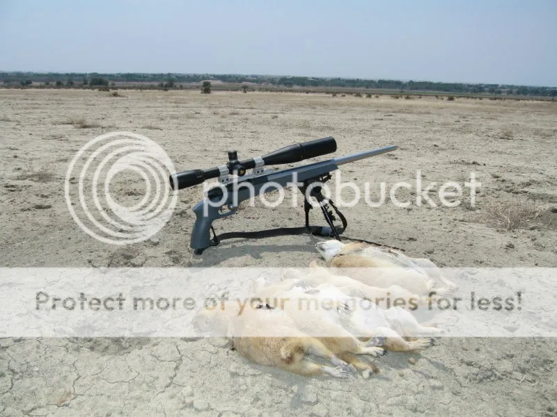 Close-up of rifle scope turret markings showing MOA adjustments