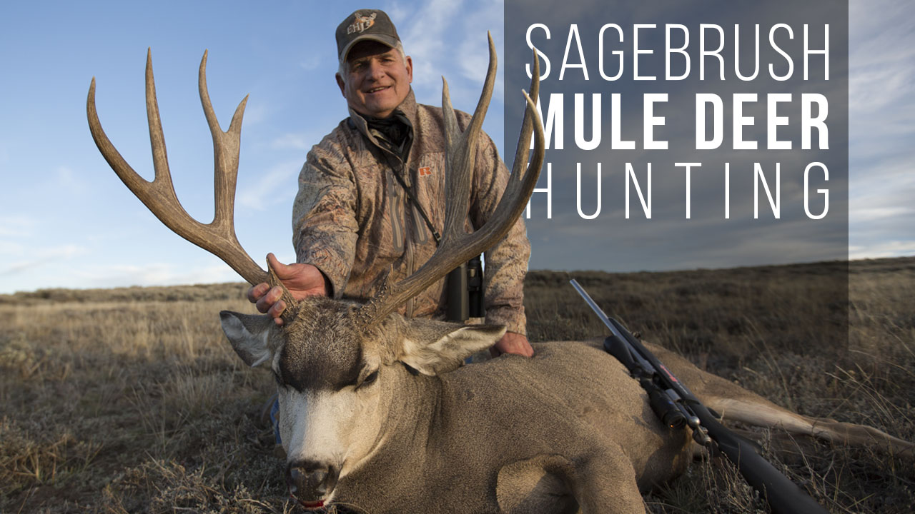 Hunter glassing open sagebrush country for mule deer from a high ridge