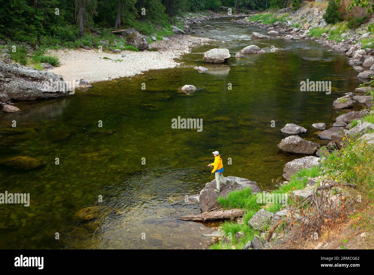 Fly angler wading in a misty Pacific Northwest river surrounded by evergreens