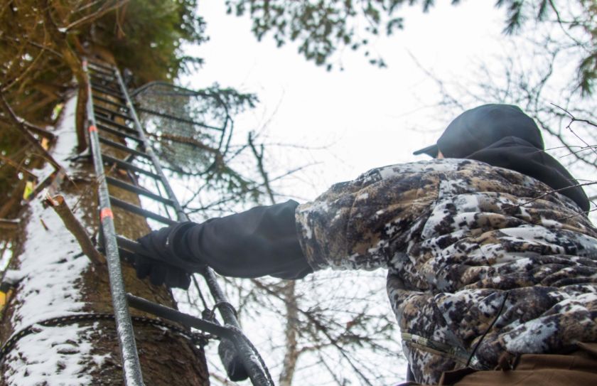 Hunter in a tree stand overlooking a hardwood forest at dawn during whitetail season